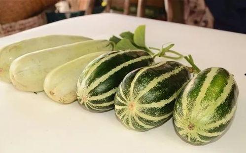 网红吃瓜.com,揭秘娱乐圈幕后故事,带你领略网络红人世界 第3张 网红吃瓜.com,揭秘娱乐圈幕后故事,带你领略网络红人世界 第3张